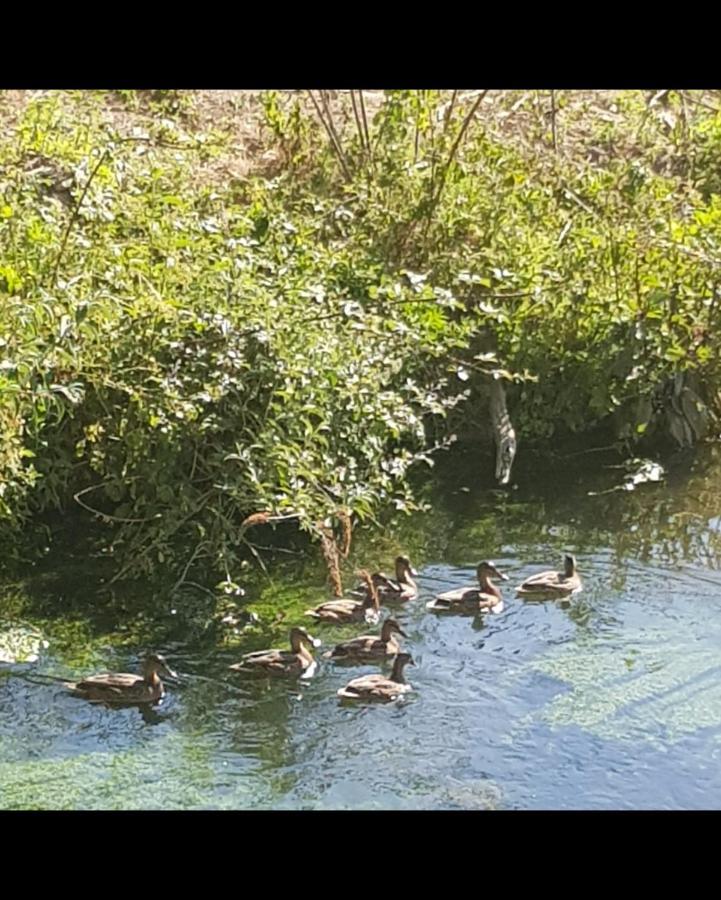 Les gîtes de ninon Moult Extérieur photo